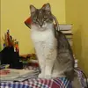 Отзыв от Анна Трифонова